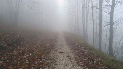 Path disappearing into fog, close-up, ground-level shot, forest journey, enveloping white