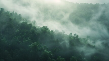 Fog rolling over hills, close-up, ground-level camera, forest awakening, serene breath