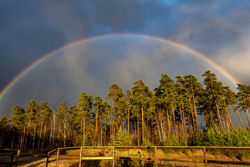 Stockholm, Sweden A rainbow in the forest.