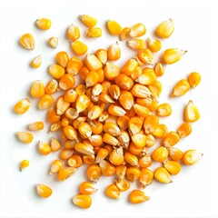 Fototapeta premium Corn kernels, bright yellow and fresh, scattered and isolated on a white background. 