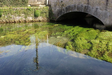 Villecomte près de Dijon : pont de pierre et algues