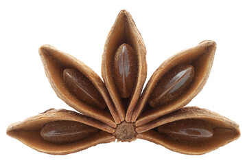 Star anise on transparent background png macro