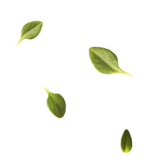 Fresh green thyme herb falling in the air isolates on white background