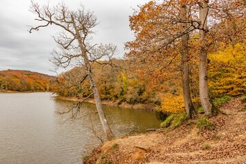 Beautiful autumn landscape of Belgrad forest with colorful trees near lake on cloudy day, Istanbul - obrazy, fototapety, plakaty
