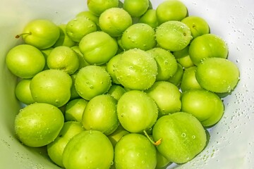 Close up shot of washed green fresh plums in water covered in bubbles