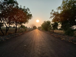 sunset in the park road with plant yellow orange sun