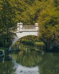 Arched bridge over a stream at a park