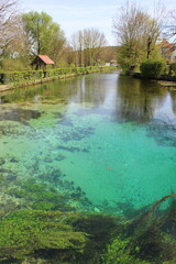 Villecomte (Côte-d'Or) : fontaine du Creux Bleu au printemps