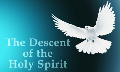 Duch Święty - obrazy, fototapety, plakaty