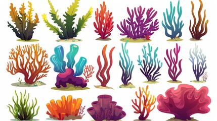 Underwater ocean and aquarium plants and creatures. Various aquatic colored marine algae and ocean sponges. Wildlife natural seabed vegetation. - obrazy, fototapety, plakaty