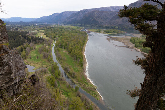 Columbia River Gorge and its surrounding beautiful green nature as seen from a hiking trail on Beacon Rock, Washington