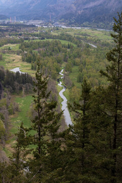 Columbia River Gorge and its surrounding beautiful green nature as seen from a hiking trail on Beacon Rock, Washington