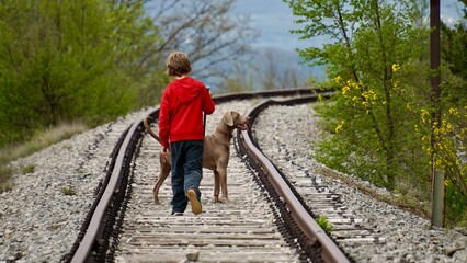 Fototapeta na wymiar Boy with Weimaraner dog walking on old abandoned railway Lupoglav Stalije, Pijana pruga, Kozljak, Krsan, Istria County, Croatia 