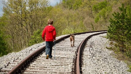 Boy with Weimaraner dog walking on old abandoned railway Lupoglav Stalije, Pijana pruga, Kozljak,...