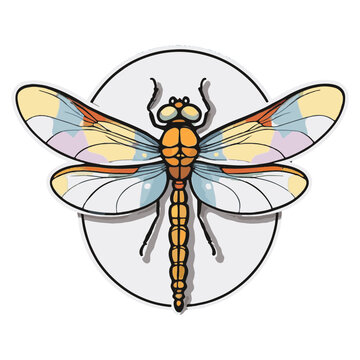 clipart vector isolation a dragonfly
