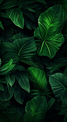 Green leaves background. Natural concept.