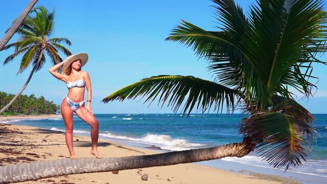  A Shapely Beautiful Young Woman in a Bikini Poses with a Sun Hat on a Trunk of a Coconut Palm in the Dominican Republic