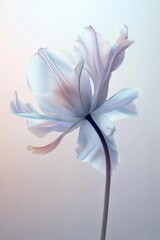 AI generated illustration of an elegant white and purple flower