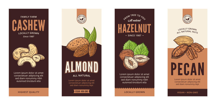 Vector various nut labels in modern style. Vector nut illustrations
