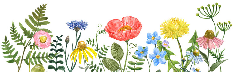 Floral frame made of watercolor hand-painted wildflowers, plants, and herbs. Botanical border illustration. PNG cliprt.
