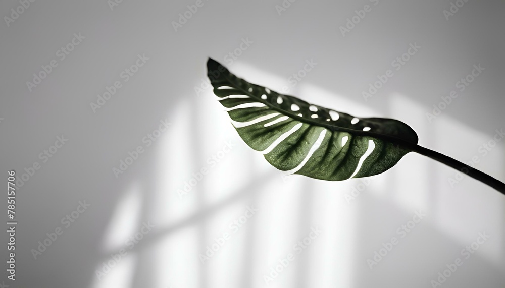 Wall mural AI-generated illustration of a green plant leaf in soft light