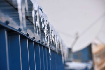 Closeup shot of frozen icicles hanging off a blue wooden fence