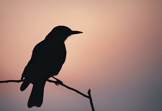 AI generated illustration of a minimalistic styled cinematic still of a bird silhouette