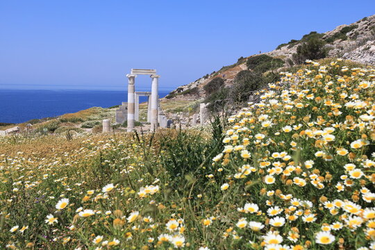 Knidos or Cnidus was a Greek city in ancient Caria and part of the Dorian Hexapolis, in south-western Asia Minor, modern-day Turkey. 