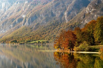 Fototapeta premium Scenic landscape in Lake Bohinj, Slovenia in autumn