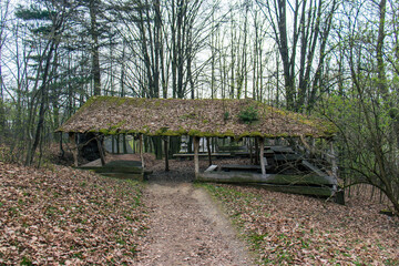 Old wooden shed in the forest. The roof of the shed covered with moss and leaves. Wooden shelter with benches and tables.