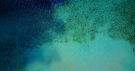 Drone footage of the sea covered with plants during summer day in  Asia