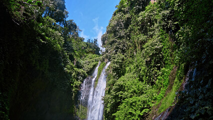 Obraz premium waterfall with rocks among tropical jungle with green plants and trees and water falling down