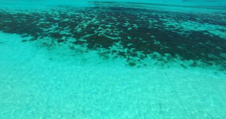 Landscape view of coral reefs under tranquil water in the sea