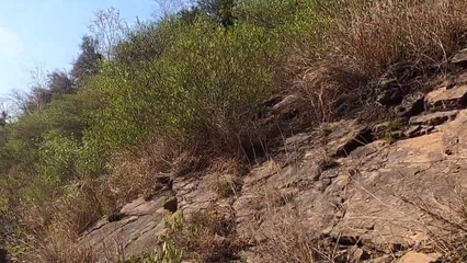 path in the grass Trees Clay and stone Mountains Natural plants Forest Old forts Walls Clouds Blue sky Grass Sand Rocks Herbs Fog Winter Dunes 