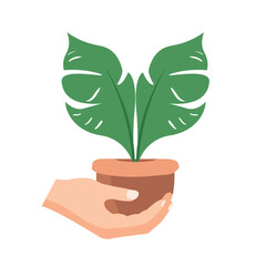 Plant pot in human hand, world earth day concept, vector illustration