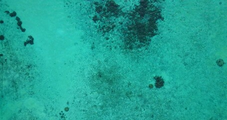 Aerial view of the turquoise water in The Maldives