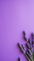 Lavender background with dark lavender paper on the right side, minimalistic background, copy space concept, top view