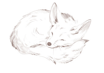 Line art fox
