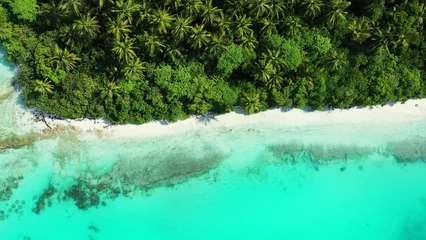 Fotobehang Aerial top view of an island covered with greenery against a turquoise sea on a sunny day © Wirestock
