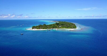 Aerial view of an island with trees in the middle of the ocean