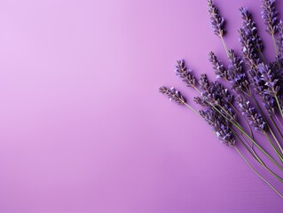 Lavender background with dark lavender paper on the right side, minimalistic background, copy space concept, top view, flat lay