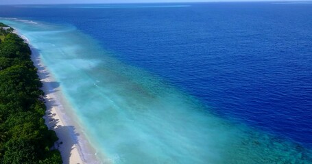 Fototapeta premium Aerial view of green trees on a sandy beach by the ocean on a sunny day