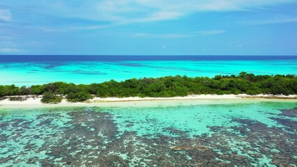 Aerial view of turquoise water by an island with trees in the Maldives