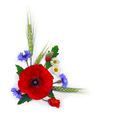 Wildflowers, flowers red poppy, daise, cornflower, wheat ears on a white background with space for text. Top view, flat lay