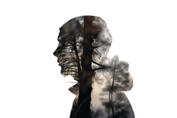 Double exposure of man and forest isolated on transparent background. The concept of the unity of nature and man.