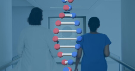 Image of dna over back view of diverse female doctors running on corridor