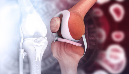 Knee joint anatomy on medical background. 3d illustration.