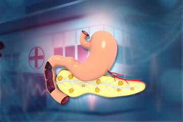 Stomach with pancreas on medical background. 3d illustration. - obrazy, fototapety, plakaty