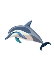 dolphin isolated on white transparent background. PNG format
