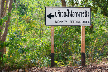 Rare old sign monkey feeding area road sigh in Thailand thai language